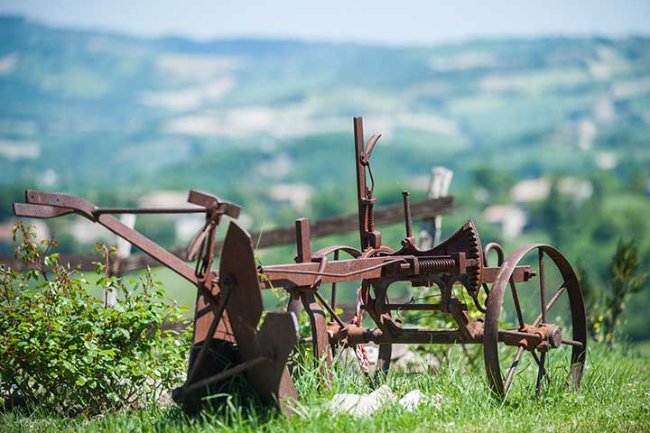 agriturismo-marche-museo-agricolo-2